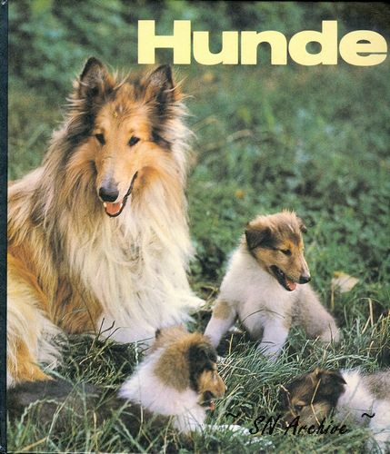 Hunde 1986 Teichmann