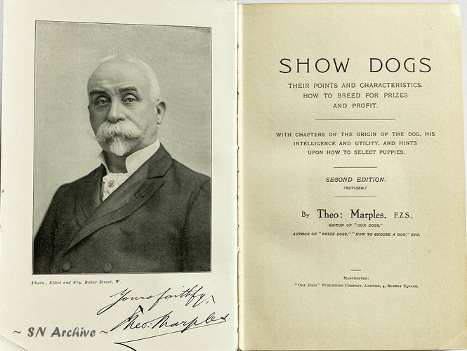 1915 Show Dogs Theo Marples