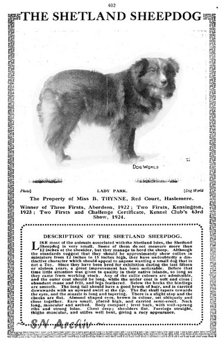 1925 Crufts Catalogue Page 402