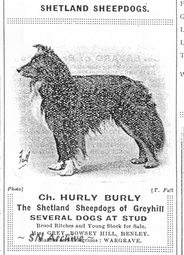 Ch. Hurly Burly