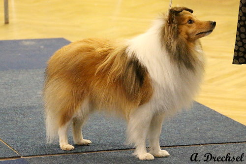 Marianna's Best Enno