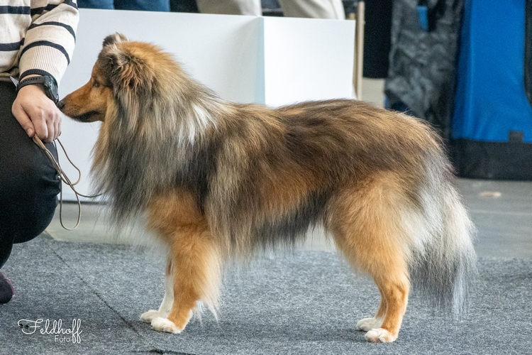 OKR Jack Black vom Neckartor