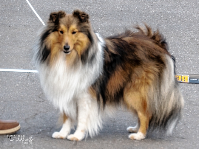 Leo