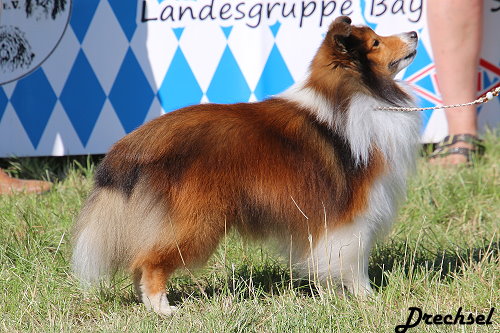2026.07.11.Hallbergmoos.VKR.Tycancy Zuperhero