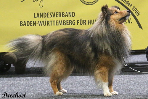 2026.03.15.Offenburg.OKR.Jack Black vom Neckartor